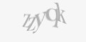 Защитный код