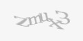 Защитный код