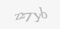 Защитный код