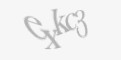 Защитный код