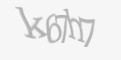 Защитный код