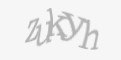 Защитный код