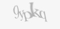 Защитный код